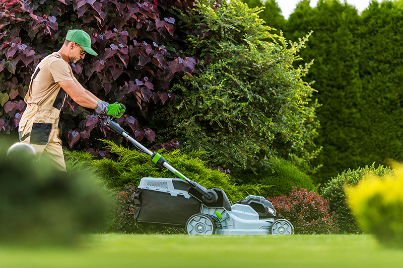 Residential lawncare by the HOA